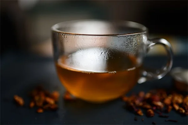 クリスマスカクタスにコーヒーかすは使える？本当のところと安全な方法を丁寧に解説