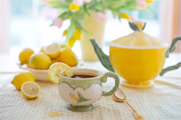 冬用肥料を使う前にやるべき土壌チェック！芝生を守る3つのポイント