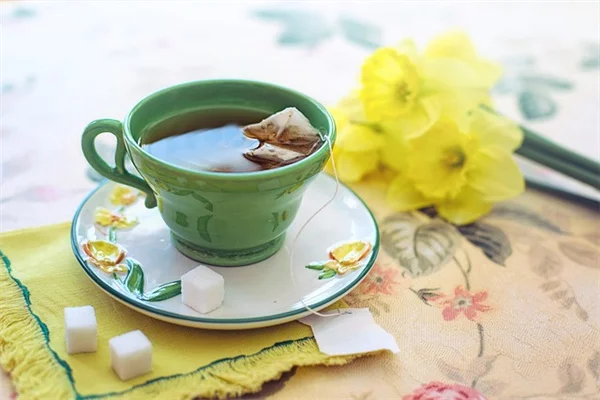 割れた鉢を捨てるのはもったいない！倒花盆の作り方とおすすめ植物