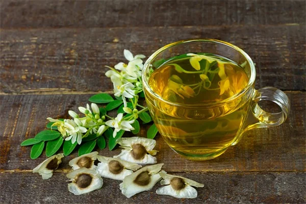 観葉植物で冬のブルー対策！効果的な5選と育て方