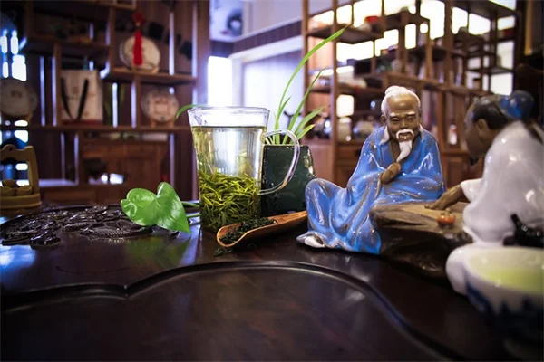 アジサイと相性最悪の植物10選―知っておくべき7つの理由