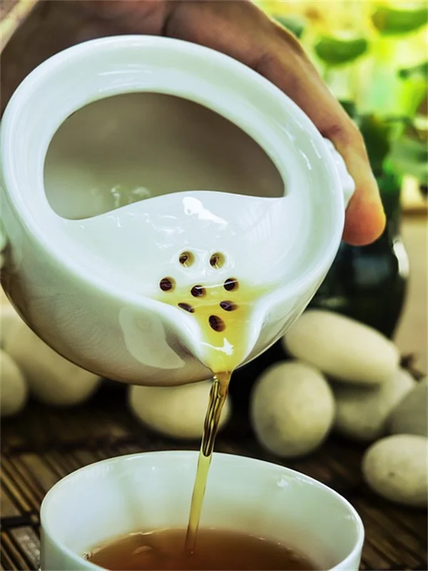 冬の芝生管理で絶対にやるべき5つのステップと失敗しない冬越しのコツ