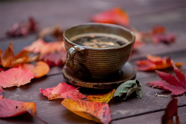 花の種類で蜂蜜の味が変わるって本当？5つの違いを徹底解説